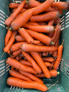 Juicing Carrots