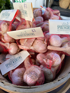 Garlic