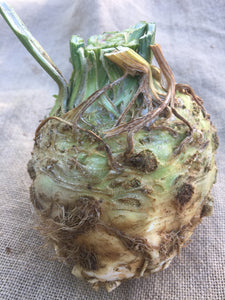 Celeriac